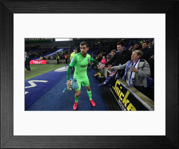 Framed Print : Brighton and Hove Albion vs. Watford: Premier League Showdown at American Express Community Stadium (08FEB20) Framed Print : Brighton and Hove Albion vs. Watford: Premier League Showdown at American Express Community Stadium (08FEB20)