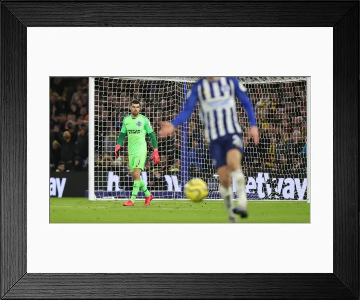 Framed Print : Brighton and Hove Albion vs. Watford: Premier League Showdown at American Express Community Stadium (08FEB20) Framed Print : Brighton and Hove Albion vs. Watford: Premier League Showdown at American Express Community Stadium (08FEB20)