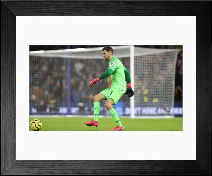 Framed Print : Intense Premier League Showdown: Brighton & Hove Albion vs. Watford (8th February 2020) Framed Print : Intense Premier League Showdown: Brighton & Hove Albion vs. Watford (8th February 2020)
