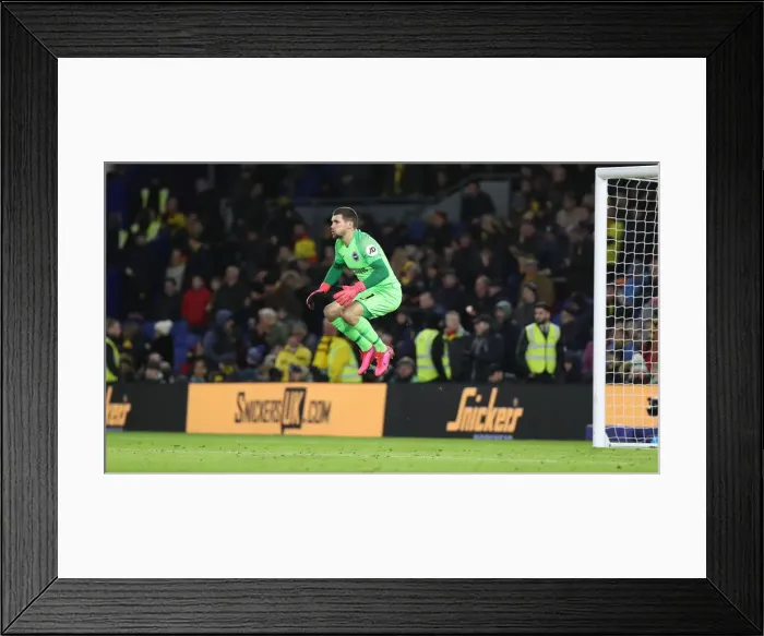 Framed Print : Brighton and Hove Albion vs. Watford: Premier League Clash at American Express Community Stadium (08FEB20) Framed Print : Brighton and Hove Albion vs. Watford: Premier League Clash at American Express Community Stadium (08FEB20)