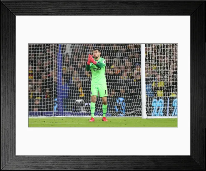 Framed Print : Intense Premier League Showdown: Brighton & Hove Albion vs. Watford (08FEB20) Framed Print : Intense Premier League Showdown: Brighton & Hove Albion vs. Watford (08FEB20)