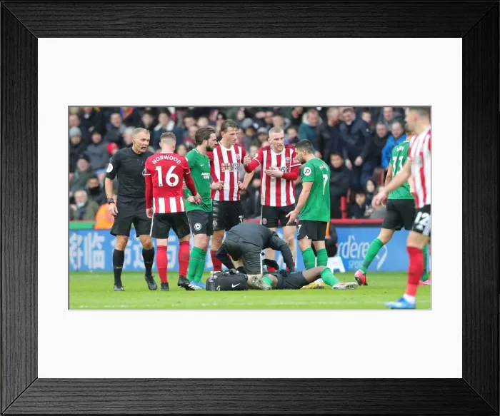 Framed Print : Intense Premier League Showdown: Brighton and Hove Albion vs Sheffield United (22FEB20) Framed Print : Intense Premier League Showdown: Brighton and Hove Albion vs Sheffield United (22FEB20)