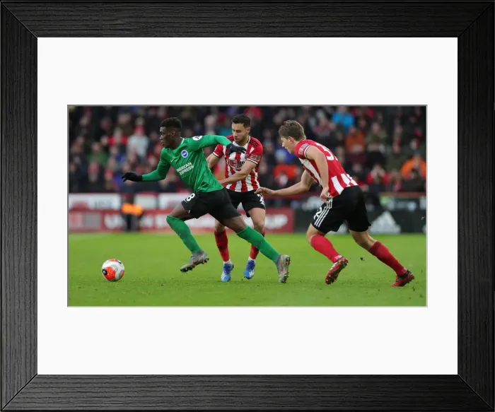 Framed Print : Intense Premier League Showdown: Brighton and Hove Albion vs. Sheffield United (22FEB20) Framed Print : Intense Premier League Showdown: Brighton and Hove Albion vs. Sheffield United (22FEB20)