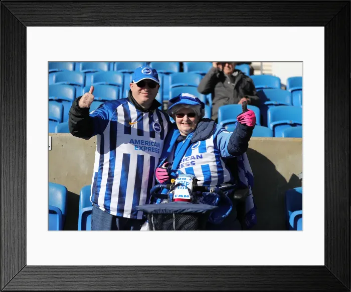 Framed Print : Intense Premier League Showdown: Brighton & Hove Albion vs. Crystal Palace (February 2020) Framed Print : Intense Premier League Showdown: Brighton & Hove Albion vs. Crystal Palace (February 2020)