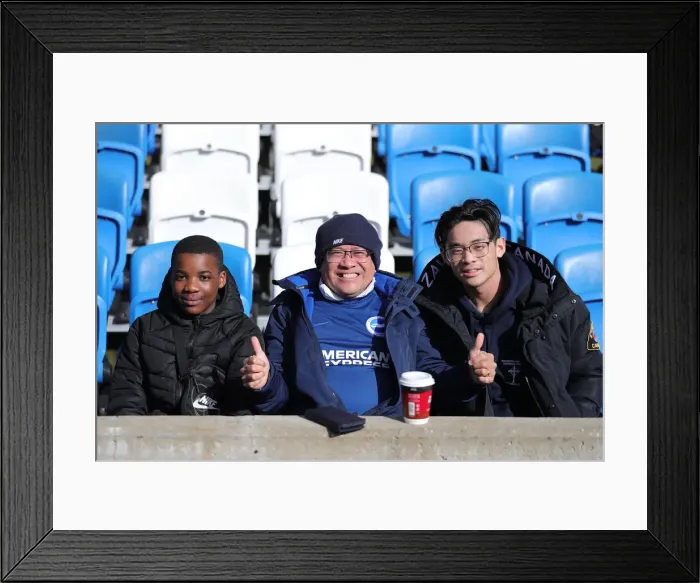 Framed Print : Intense Rivalry: Brighton & Hove Albion vs. Crystal Palace, 29th February 2020 - Premier League Showdown at American Express Community Stadium Framed Print : Intense Rivalry: Brighton & Hove Albion vs. Crystal Palace, 29th February 2020 - Premier League Showdown at American Express Community Stadium