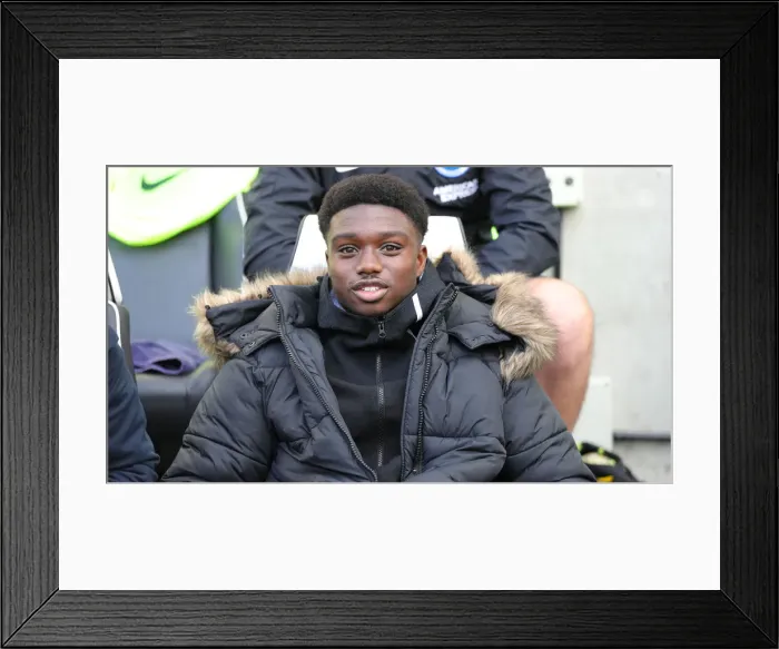 Framed Print : Intense Premier League Showdown: Brighton & Hove Albion vs. Crystal Palace (February 2020) Framed Print : Intense Premier League Showdown: Brighton & Hove Albion vs. Crystal Palace (February 2020)