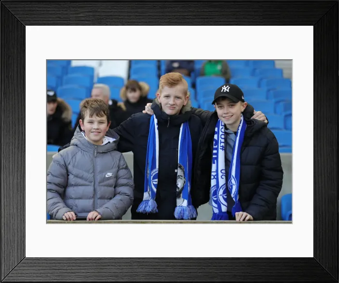 Framed Print : Brighton and Hove Albion vs. Crystal Palace: A Premier League Showdown at American Express Community Stadium (February 29, 2020) Framed Print : Brighton and Hove Albion vs. Crystal Palace: A Premier League Showdown at American Express Community Stadium (February 29, 2020)