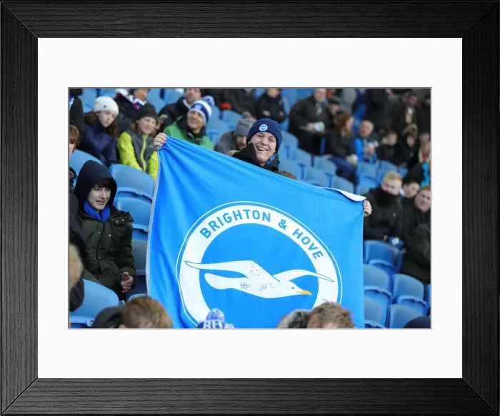 Framed Print : Brighton and Hove Albion vs. Crystal Palace: A Premier League Clash at American Express Community Stadium (29 February 2020) Framed Print : Brighton and Hove Albion vs. Crystal Palace: A Premier League Clash at American Express Community Stadium (29 February 2020)