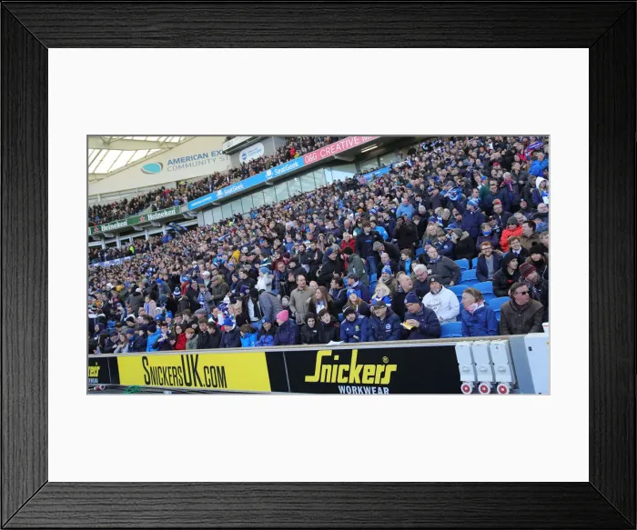 Framed Print : Brighton and Hove Albion vs. Crystal Palace: A Premier League Showdown at American Express Community Stadium (29th February 2020) Framed Print : Brighton and Hove Albion vs. Crystal Palace: A Premier League Showdown at American Express Community Stadium (29th February 2020)