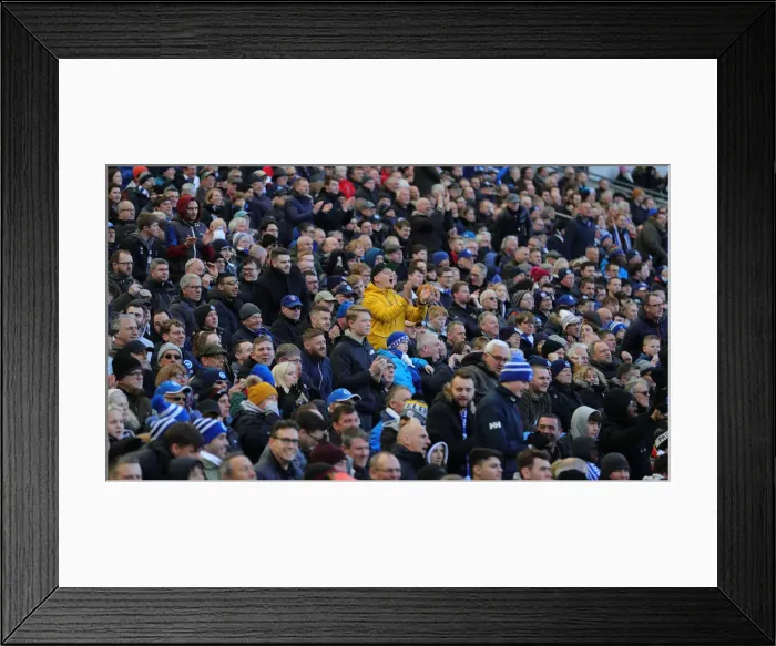 Framed Print : Brighton and Hove Albion vs. Crystal Palace: A Premier League Battle at American Express Community Stadium (February 29, 2020) Framed Print : Brighton and Hove Albion vs. Crystal Palace: A Premier League Battle at American Express Community Stadium (February 29, 2020)