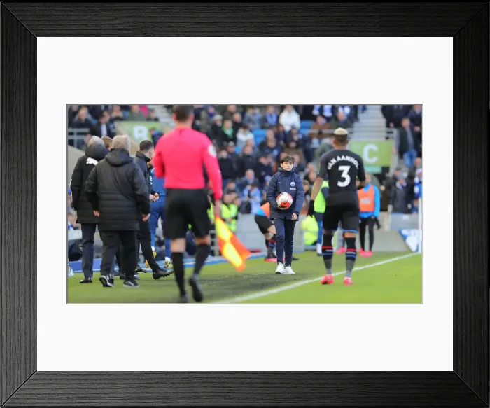 Framed Print : Brighton and Hove Albion vs. Crystal Palace: A Premier League Clash (29FEB20) Framed Print : Brighton and Hove Albion vs. Crystal Palace: A Premier League Clash (29FEB20)