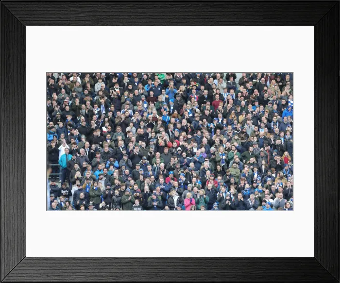 Framed Print : Brighton and Hove Albion vs. Crystal Palace: A Premier League Showdown at American Express Community Stadium (29 February 2020) Framed Print : Brighton and Hove Albion vs. Crystal Palace: A Premier League Showdown at American Express Community Stadium (29 February 2020)