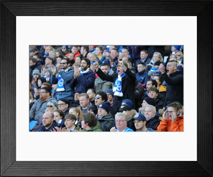 Framed Print : Brighton and Hove Albion vs. Crystal Palace: A Premier League Showdown at American Express Community Stadium (29 February 2020) Framed Print : Brighton and Hove Albion vs. Crystal Palace: A Premier League Showdown at American Express Community Stadium (29 February 2020)