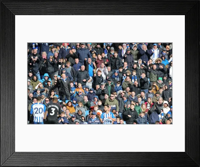 Framed Print : Brighton and Hove Albion vs. Crystal Palace: A Premier League Showdown at American Express Community Stadium (29FEB20) Framed Print : Brighton and Hove Albion vs. Crystal Palace: A Premier League Showdown at American Express Community Stadium (29FEB20)