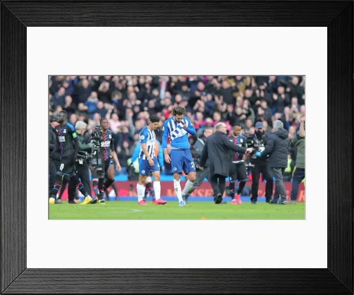 Framed Print : Brighton and Hove Albion vs. Crystal Palace: A Premier League Battle at American Express Community Stadium (29 February 2020) Framed Print : Brighton and Hove Albion vs. Crystal Palace: A Premier League Battle at American Express Community Stadium (29 February 2020)