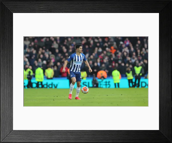 Framed Print : Brighton and Hove Albion vs. Crystal Palace: A Premier League Clash at American Express Community Stadium (29.02.20) Framed Print : Brighton and Hove Albion vs. Crystal Palace: A Premier League Clash at American Express Community Stadium (29.02.20)