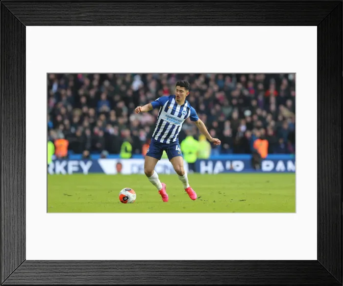 Framed Print : Brighton and Hove Albion vs. Crystal Palace: A Premier League Battle at American Express Community Stadium (February 29, 2020) Framed Print : Brighton and Hove Albion vs. Crystal Palace: A Premier League Battle at American Express Community Stadium (February 29, 2020)