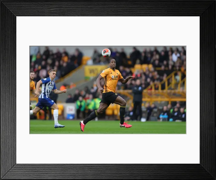 Framed Print : Molineux Showdown: Wolverhampton Wanderers vs. Brighton and Hove Albion - Premier League Clash (07MAR20)