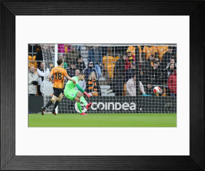 Framed Print : Molineux Showdown: Wolverhampton Wanderers vs. Brighton and Hove Albion - Premier League Clash (07MAR20)