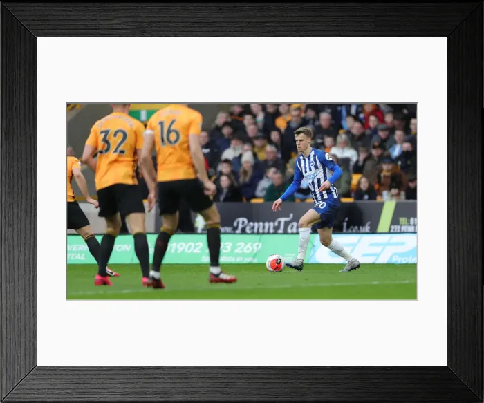 Framed Print : Molineux Showdown: Wolverhampton Wanderers vs. Brighton and Hove Albion - Premier League Clash (07MAR20)