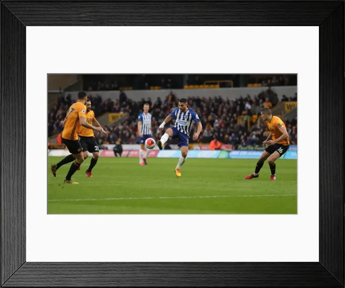 Framed Print : Molineux Showdown: Wolverhampton Wanderers vs. Brighton and Hove Albion - Premier League Clash (07MAR20) Framed Print : Molineux Showdown: Wolverhampton Wanderers vs. Brighton and Hove Albion - Premier League Clash (07MAR20)
