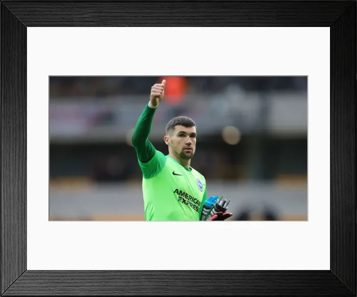 Framed Print : Molineux Showdown: Wolverhampton Wanderers vs. Brighton and Hove Albion, Premier League Clash (07MAR20) Framed Print : Molineux Showdown: Wolverhampton Wanderers vs. Brighton and Hove Albion, Premier League Clash (07MAR20)