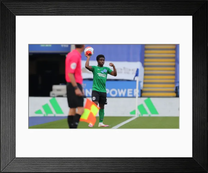 Framed Print : Premier League Showdown: Leicester City vs. Brighton & Hove Albion at Kingpower Stadium (23JUN20) Framed Print : Premier League Showdown: Leicester City vs. Brighton & Hove Albion at Kingpower Stadium (23JUN20)