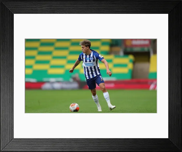Framed Print : Premier League Showdown: Norwich City vs. Brighton & Hove Albion at Carrow Road (04JUL20)