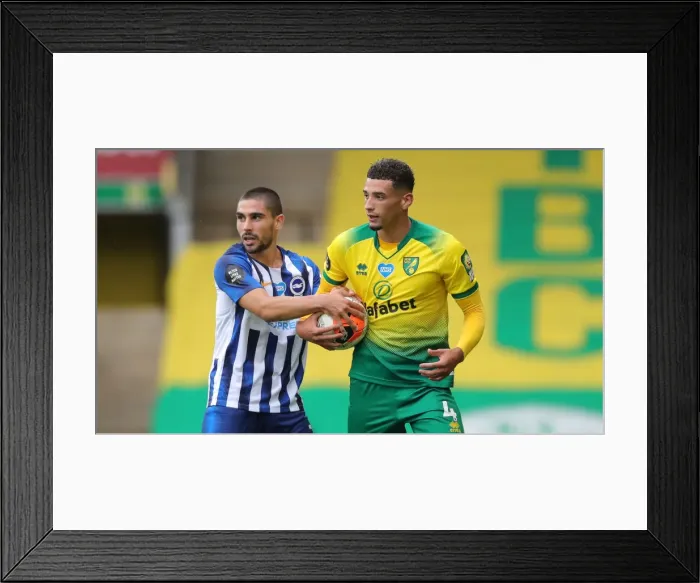 Framed Print : Brighton and Hove Albion vs. Norwich City: Premier League Showdown at Carrow Road (04JUL20) Framed Print : Brighton and Hove Albion vs. Norwich City: Premier League Showdown at Carrow Road (04JUL20)