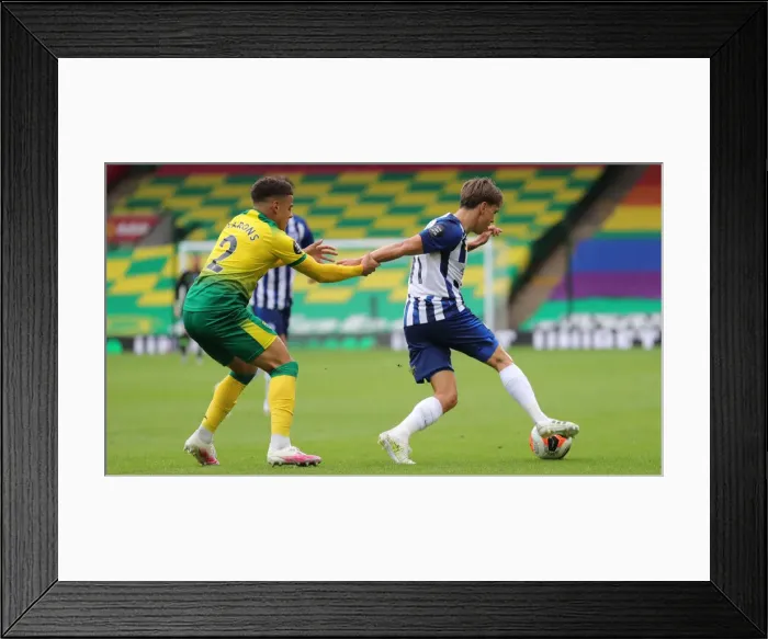 Framed Print : Brighton and Hove Albion vs. Norwich City: Premier League Showdown at Carrow Road (04JUL20)