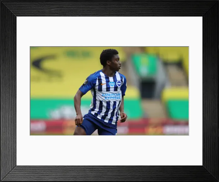 Framed Print : Premier League Showdown: Norwich City vs. Brighton & Hove Albion at Carrow Road (04JUL20)