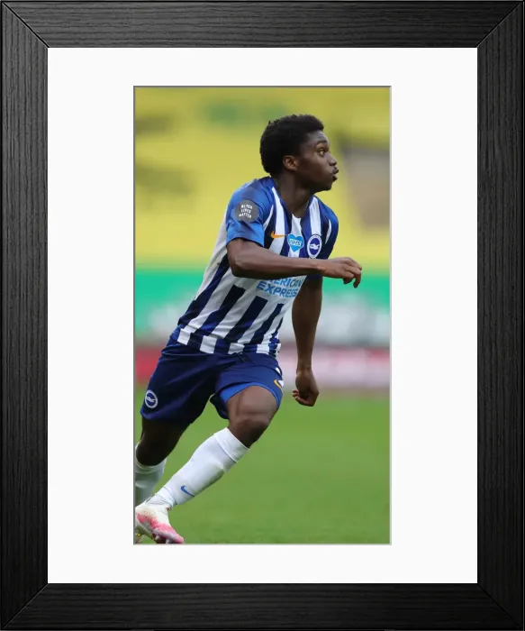 Framed Print : Premier League Showdown: Norwich City vs. Brighton & Hove Albion at Carrow Road (04JUL20)
