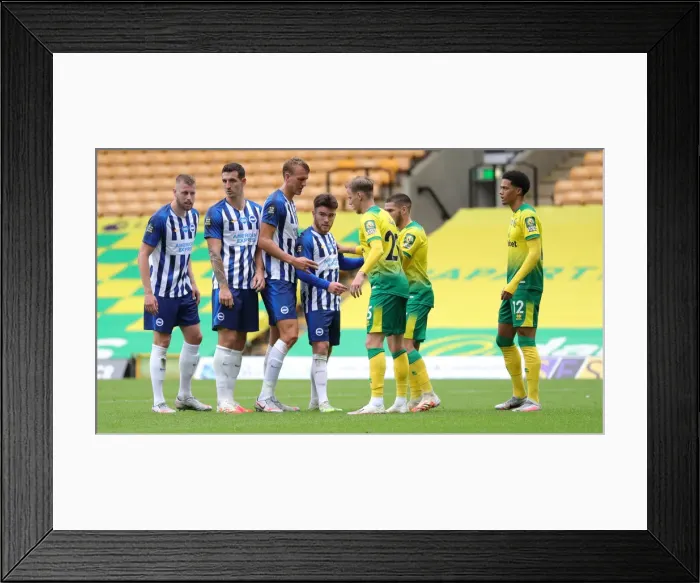 Framed Print : Premier League Showdown: Norwich City vs. Brighton & Hove Albion at Carrow Road (04JUL20) Framed Print : Premier League Showdown: Norwich City vs. Brighton & Hove Albion at Carrow Road (04JUL20)