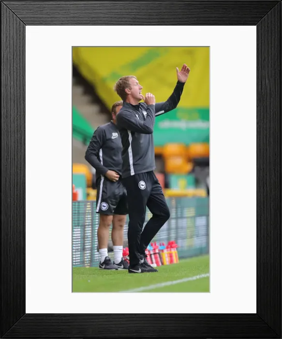 Framed Print : Premier League Showdown: Norwich City vs. Brighton & Hove Albion at Carrow Road (04JUL20) Framed Print : Premier League Showdown: Norwich City vs. Brighton & Hove Albion at Carrow Road (04JUL20)