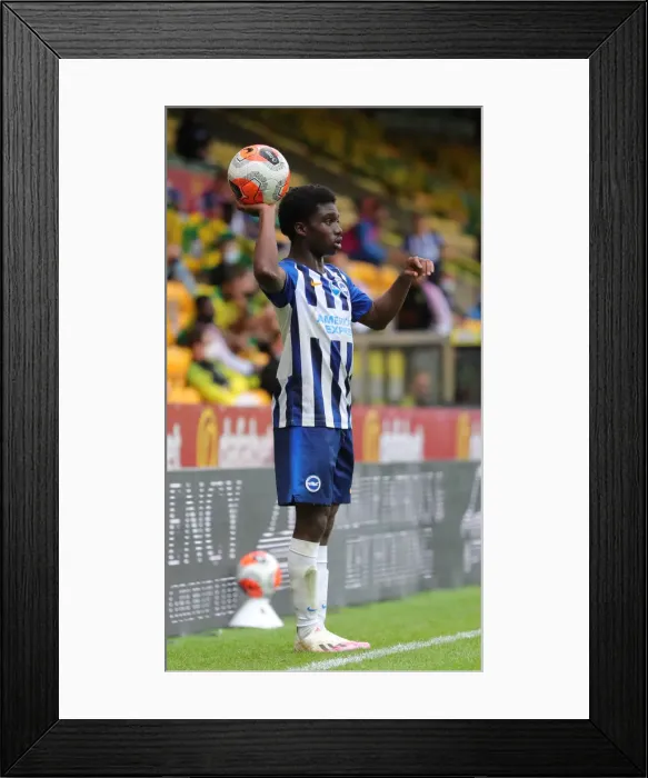 Framed Print : Premier League Showdown: Norwich City vs. Brighton & Hove Albion at Carrow Road (04JUL20) Framed Print : Premier League Showdown: Norwich City vs. Brighton & Hove Albion at Carrow Road (04JUL20)
