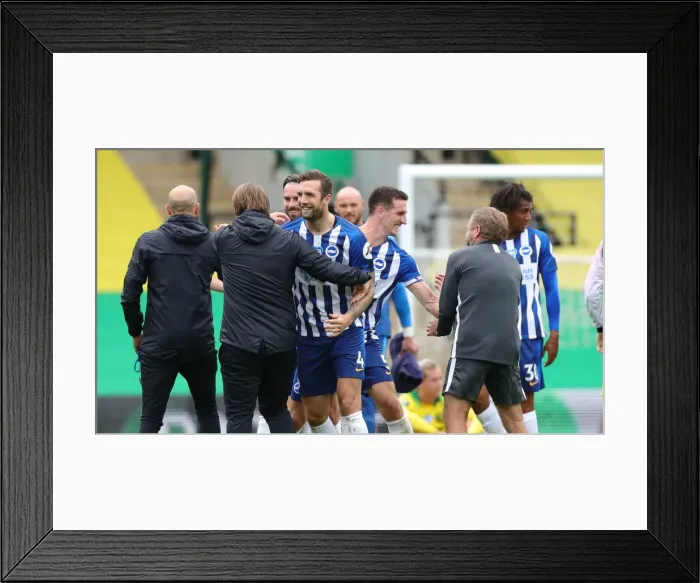 Framed Print : Norwich City vs. Brighton and Hove Albion: Premier League Clash at Carrow Road (04JUL20)