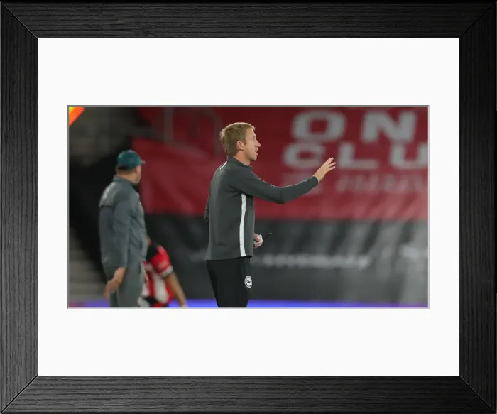 Framed Print : Premier League Showdown: Southampton vs. Brighton & Hove Albion at St. Mary's Stadium (16JUL20)