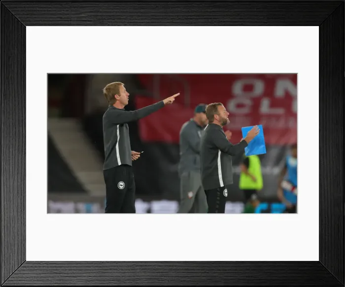 Framed Print : Premier League Showdown: Southampton vs. Brighton and Hove Albion at St Mary's Stadium (16JUL20) Framed Print : Premier League Showdown: Southampton vs. Brighton and Hove Albion at St Mary's Stadium (16JUL20)