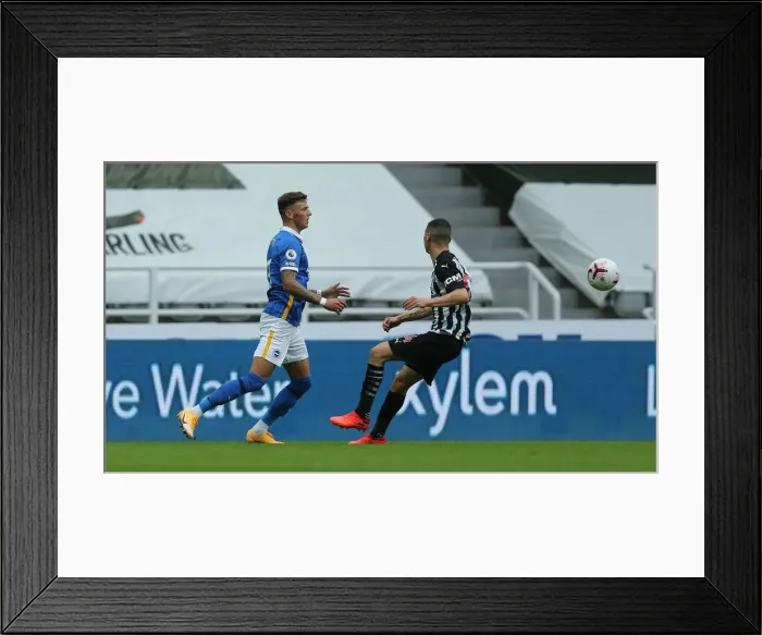 Framed Print : September Showdown: Newcastle United vs. Brighton and Hove Albion - Premier League Clash (2020 / 21) Framed Print : September Showdown: Newcastle United vs. Brighton and Hove Albion - Premier League Clash (2020 / 21)
