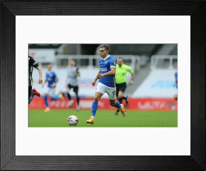 Framed Print : September Showdown: Newcastle United vs. Brighton & Hove Albion - Premier League Clash (2020 / 21) Framed Print : September Showdown: Newcastle United vs. Brighton & Hove Albion - Premier League Clash (2020 / 21)
