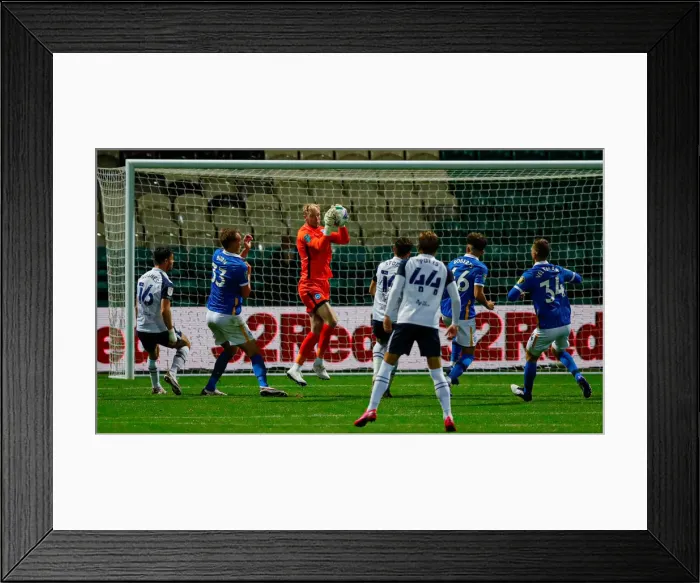 Framed Print : Preston North End v Brighton & Hove Albion Framed Print : Preston North End v Brighton & Hove Albion