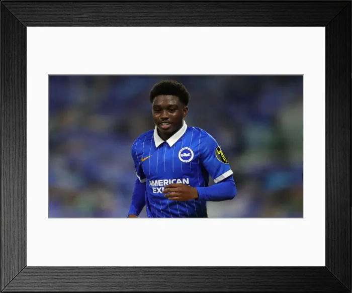 Framed Print : Brighton vs. West Brom: Premier League Showdown at American Express Community Stadium (26Oct20) Framed Print : Brighton vs. West Brom: Premier League Showdown at American Express Community Stadium (26Oct20)