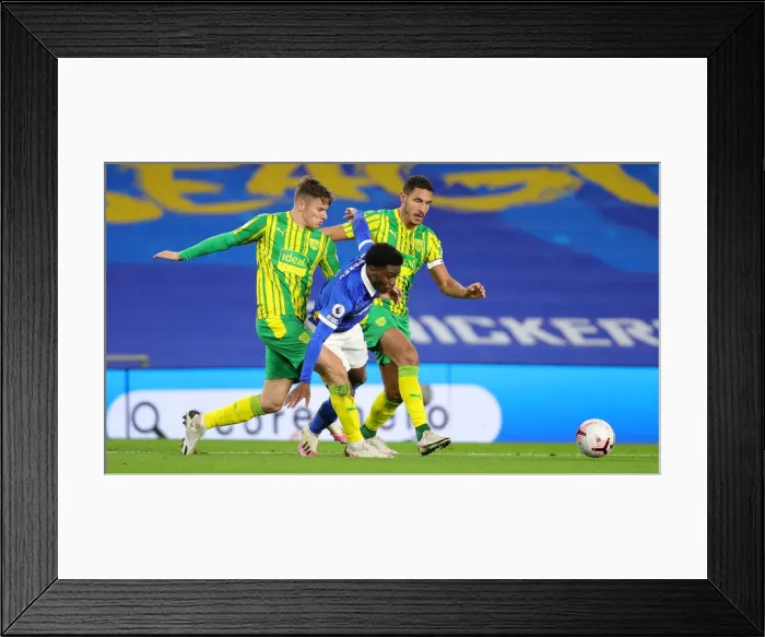 Framed Print : Brighton vs. West Brom: Premier League Battle at American Express Community Stadium (26Oct20) Framed Print : Brighton vs. West Brom: Premier League Battle at American Express Community Stadium (26Oct20)
