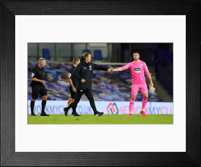 Framed Print : Brighton and Hove Albion vs. West Bromwich Albion: Premier League Clash at American Express Community Stadium (26th October 2020) Framed Print : Brighton and Hove Albion vs. West Bromwich Albion: Premier League Clash at American Express Community Stadium (26th October 2020)