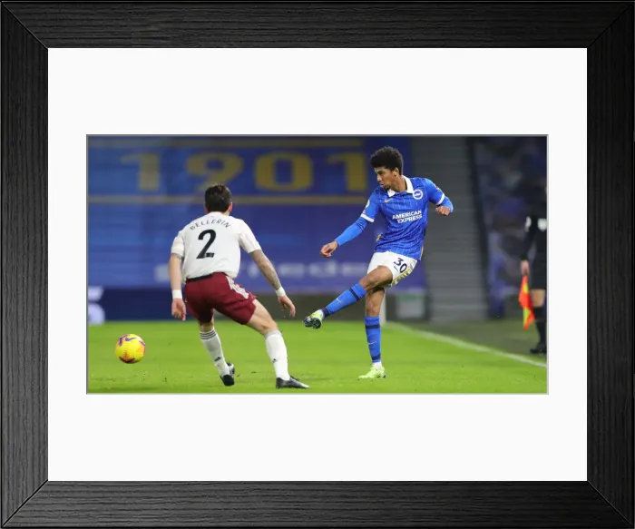 Framed Print : 10 Bernardo Framed Print : 10 Bernardo