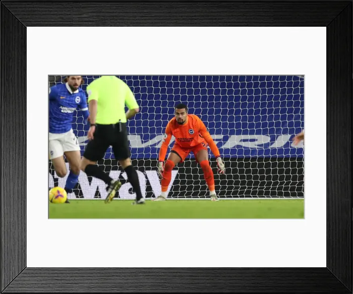 Framed Print : Brighton and Hove Albion vs. Wolverhampton Wanderers: Premier League Battle at American Express Community Stadium (02JAN21)