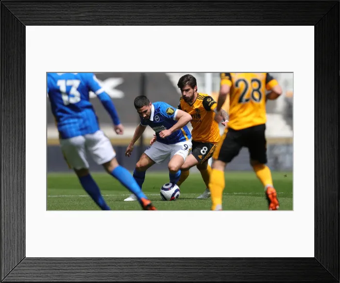Framed Print : Wolverhampton Wanderers vs. Brighton and Hove Albion: Intense Premier League Clash at Molineux Stadium (09MAY21) Framed Print : Wolverhampton Wanderers vs. Brighton and Hove Albion: Intense Premier League Clash at Molineux Stadium (09MAY21)