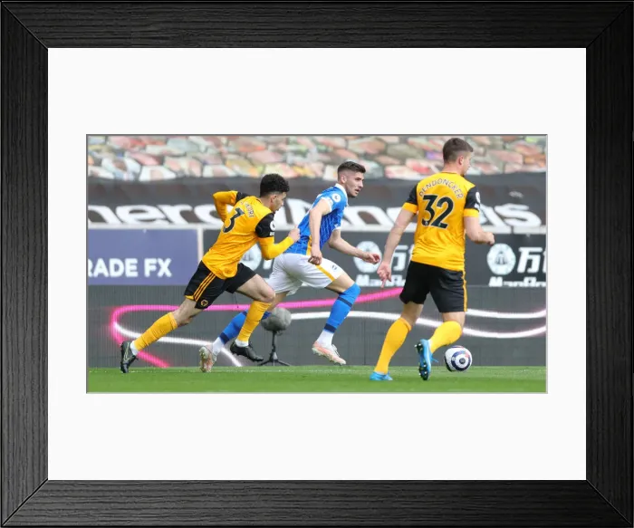 Framed Print : Premier League Battle: Wolverhampton Wanderers vs. Brighton and Hove Albion at Molineux Stadium (May 9, 2021) Framed Print : Premier League Battle: Wolverhampton Wanderers vs. Brighton and Hove Albion at Molineux Stadium (May 9, 2021)