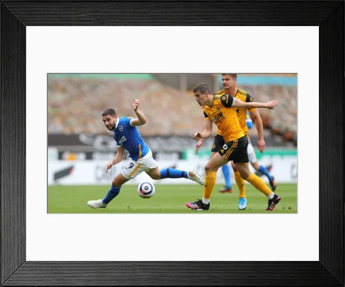 Framed Print : 9 May 2021: Wolverhampton Wanderers vs. Brighton and Hove Albion - Premier League Clash at Molineux Stadium Framed Print : 9 May 2021: Wolverhampton Wanderers vs. Brighton and Hove Albion - Premier League Clash at Molineux Stadium