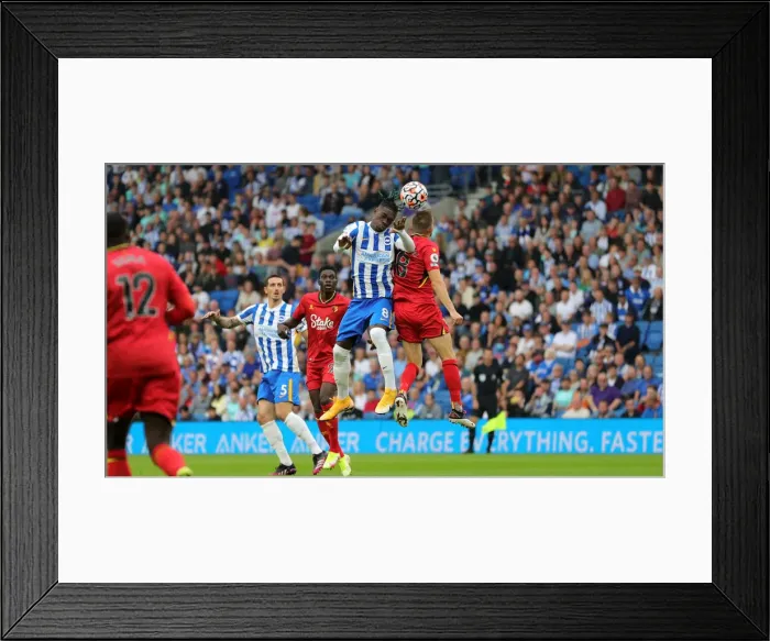 Framed Print : Brighton & Hove Albion vs. Watford: 2021-22 Premier League Battle at American Express Community Stadium Framed Print : Brighton & Hove Albion vs. Watford: 2021-22 Premier League Battle at American Express Community Stadium